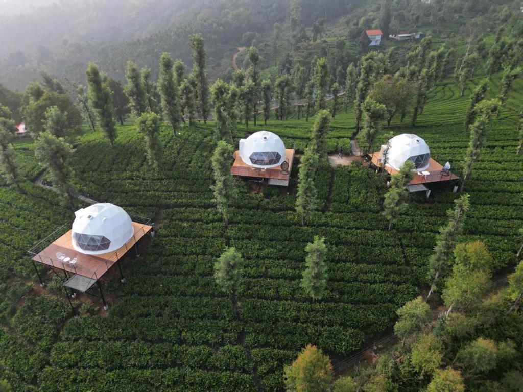 Vythiri Tea Valley I Best Hotel In Wayanad L Hotels In Vythiri Wayanad Exterior photo