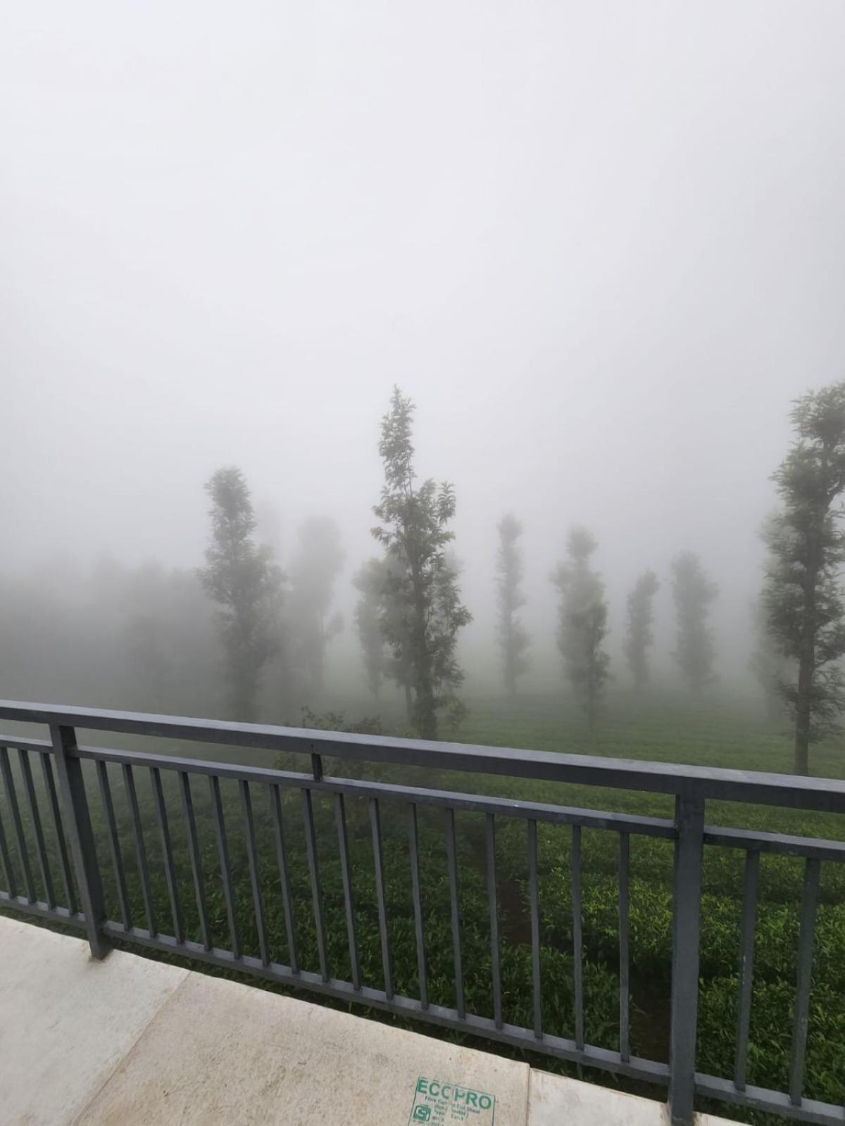 Vythiri Tea Valley I Best Hotel In Wayanad L Hotels In Vythiri Wayanad Exterior photo