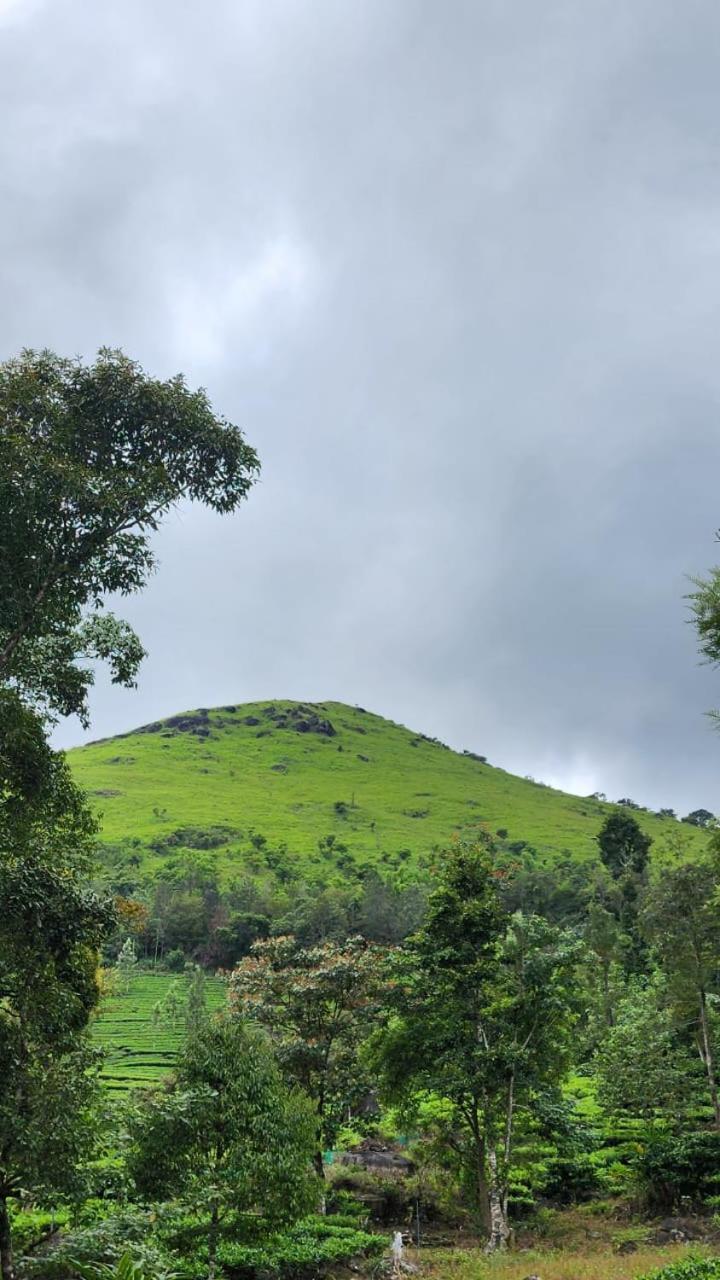 Vythiri Tea Valley I Best Hotel In Wayanad L Hotels In Vythiri Wayanad Exterior photo