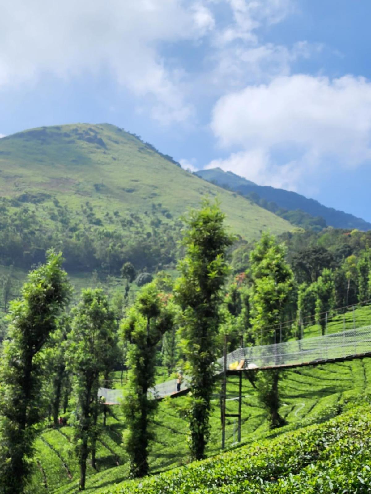 Vythiri Tea Valley I Best Hotel In Wayanad L Hotels In Vythiri Wayanad Exterior photo